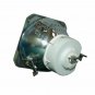 Viewsonic RLC-030 Ushio Projector Bare Lamp