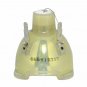 Acer MC.JMG11.004 Philips Projector Bare Lamp
