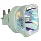 ACTO 1300052500 Philips Projector Bare Lamp