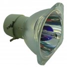 Eiki AH-50001 Philips Projector Bare Lamp