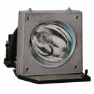 Acer EC.J0601.001 Phoenix Projector Lamp With Housing