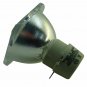 Vivitek 5811100795-SU Philips Projector Bare Lamp