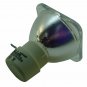 Vivitek 5811100795-SU Philips Projector Bare Lamp