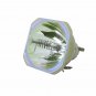 Original Philips Bare Lamp For Epson ELPLP51
