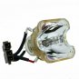 NEC LH02LP Ushio Projector Bare Lamp