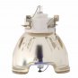 Canon  RS-LP09 Ushio Projector Bare Lamp