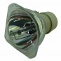 Eiki AH-50002 Philips Projector Bare Lamp