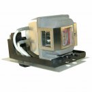 Dynamic Lamps Projector Lamp With Housing for Infocus SP-LAMP-039