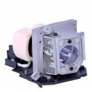 Acer EC.J6900.003 Osram Projector Lamp With Housing