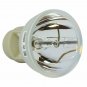 Optoma SP.8NV01GC01 Osram Projector Bare Lamp