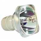 BenQ 5J.06W01.001 Philips Projector Bare Lamp