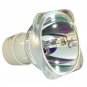 BenQ 5J.06W01.001 Philips Projector Bare Lamp