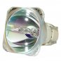 BenQ 5J.06W01.001 Philips Projector Bare Lamp