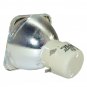 BenQ 5J.06W01.001 Philips Projector Bare Lamp