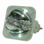 Digital Projection 109-682 Osram Projector Bare Lamp