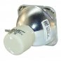 BenQ 5J.07E01.001 Philips Projector Bare Lamp