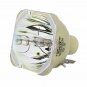 Optoma BL-FU310D Philips Projector Bare Lamp
