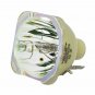 Original Philips Bare Projector Lamp for Infocus SP-LAMP-096