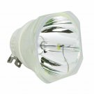 Original Ushio ELPLP91 Bare Lamp For Epson Projectors