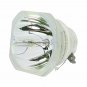 Original Ushio ELPLP91 Bare Lamp For Epson Projectors