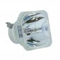 ASK Proxima 3400338501 Ushio Projector Bare Lamp