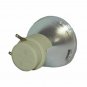 Original Osram ELPLP91 Bare Lamp For Epson Projectors