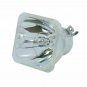 Viewsonic RLC-041 Ushio Projector Bare Lamp