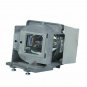 Viewsonic RLC-080 Osram Projector Lamp Module