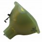 Original Philips Bare Projector Lamp for Infocus SP-LAMP-079