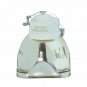 Hitachi DT00893 Ushio Projector Bare Lamp