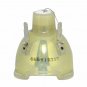 NEC NP39LP Philips Projector Bare Lamp