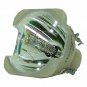 Eiki AH-45001 Philips Projector Bare Lamp