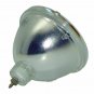 Gateway 7005089 Philips Bare TV Lamp