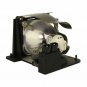 NOBO SP.80V01.001 Phoenix Projector Lamp Module