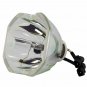 Ushio NSH300F Ushio Projector Bare Lamp