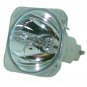 Acer EC.J5600.001 Osram Projector Bare Lamp