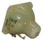 Acer EC.J2302.001 Osram Projector Bare Lamp