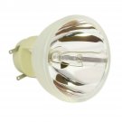 Acer AK.BLBJF.Z11 Osram Projector Bare Lamp