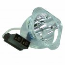 Optoma BL-FP120A Osram Projector Bare Lamp