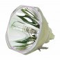 Hitachi DT01581 Philips Projector Bare Lamp