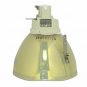 Hitachi DT01581 Philips Projector Bare Lamp