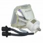 Viewsonic RLC-006 Ushio Projector Bare Lamp