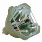 Original Philips Bare Projector Lamp for Infocus SP-LAMP-004