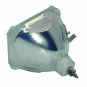 Original Philips Bare Lamp For Epson ELSLP1