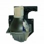 Optoma BL-FS180B Phoenix Projector Lamp Module