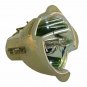 Optoma BL-FS300B Philips Projector Bare Lamp