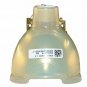 Digital Projection 109-215J Philips Projector Bare Lamp
