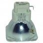 Acer EC.J5400.001 Osram Projector Bare Lamp