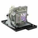 Optoma DE.5811100256 Osram Projector Lamp Module