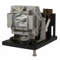 Digital Projection 110-284 Compatible Projector Lamp With Housing